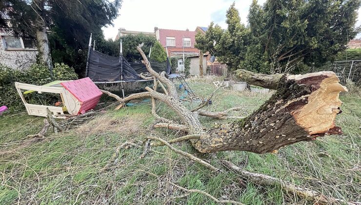 Fırtınada Üstüne Ağaç Düşen 2 Aylık Bebek Hayatını Kaybetti