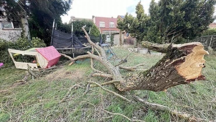 Fırtınada Üstüne Ağaç Düşen 2 Aylık Bebek Hayatını Kaybetti