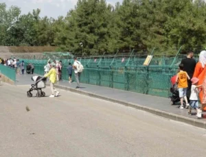 Gaziantep Doğal Yaşam Parkı’na Ziyaretçi Akını