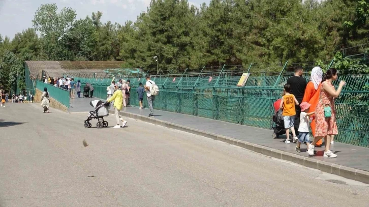 Gaziantep Doğal Yaşam Parkı’na Ziyaretçi Akını