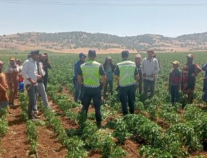 Gaziantep’te Mevsimlik Tarım Personellerine Trafik Eğitimi Verildi