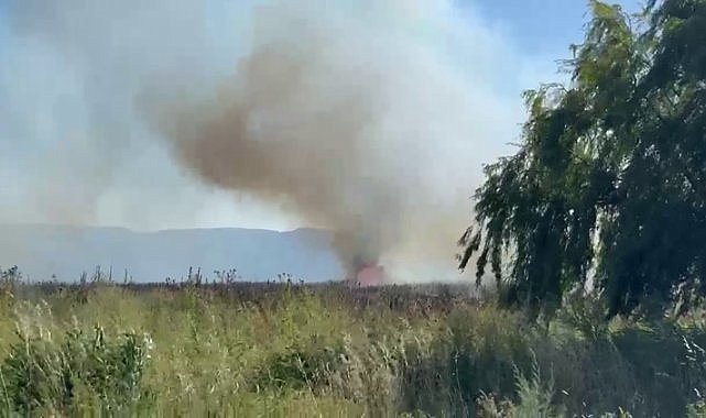 Gemlik ve İznik’te Sazlık Alan Yangınları