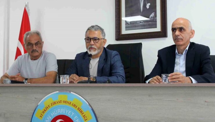 Giresun’da Üretici Örgütleri, Fındık Rekoltesi Açıklamasına Tepki Gösterdi