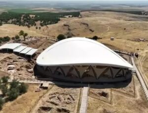 Göbeklitepe’deki Ağaçları Para İçin Dikmişler