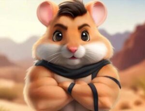 Hamster Kombat 28 Temmuz 2024 Kombo Kartları Yayında! İşte 28 Temmuz Hamster Kombat Şifresi