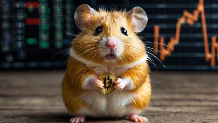 Hamster Kombat Günlük Şifresi 24 Temmuz 2024 ve Kombo Kartları Yayında! İşte Telegram 24 Temmuz Hamster Kombat 2024 Günlük Kombosu ve Şifresi!