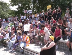 Hayvan Hakları Savunucuları Ötanazi Kanun Teklifini Protesto Etti