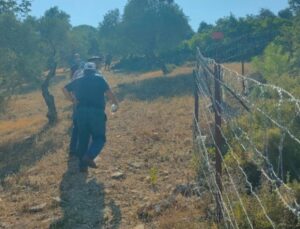 İkizköy Muhtarı Nejla Işık: Akbelen’de Köylülerin Zeytinlikleri Dikenli Telle Çevrildi