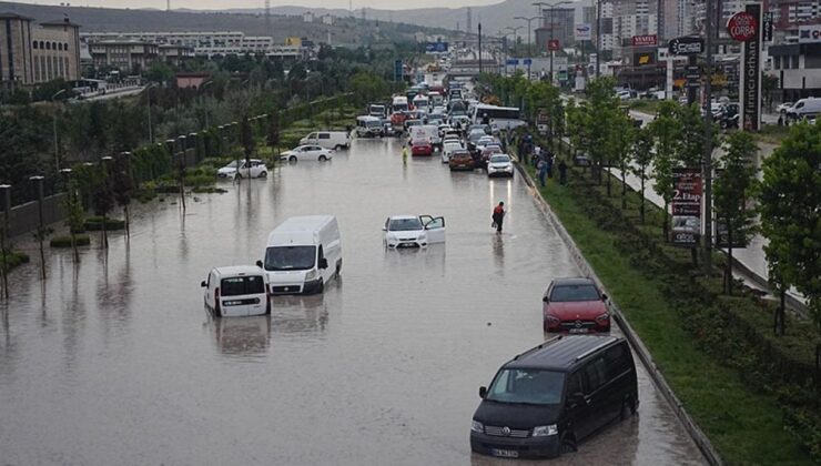 İklim Değişikliğine Bağlı Afetler Biyoçeşitliliği Tehdit Ediyor