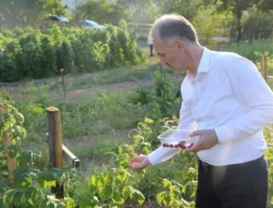 İnegöl Belediyesi Ücretsiz Toprak Tahlillerine Devam Ediyor