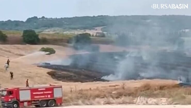 İnegöl’de Buğday Tarlalarında Yangın Çıktı