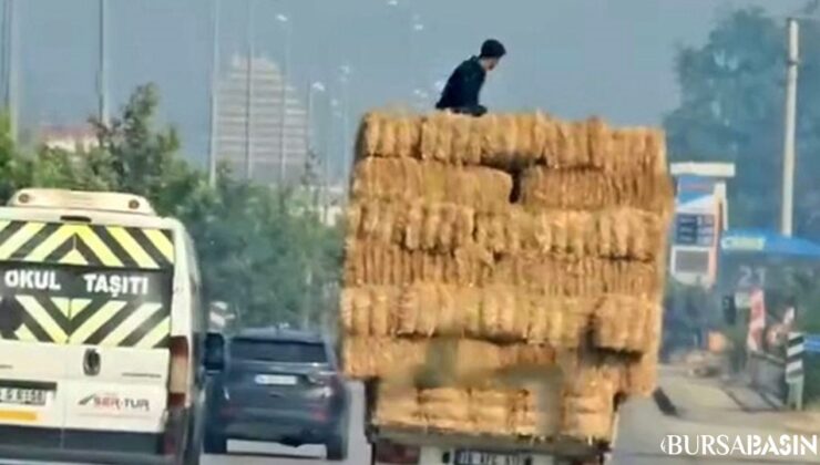 İnegöl’de Saman Balyası Üzerinde Tehlikeli Yolculuk