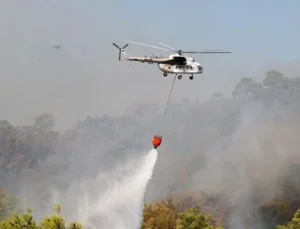 İzmir Yangını Hakkında Korkunç İddia: Helikopterler Yakıt Parası Olmadığı İçin Kalkmadı