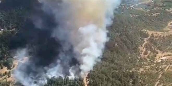 İzmir’de Orman Yangını