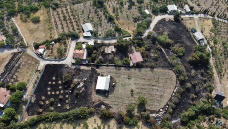 İzmir’deki Yangının Hasarı Gün Ağarınca Ortaya Çıktı