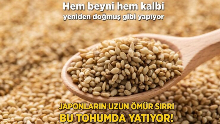 Japonların Uzun Ömür Sırrı Bu Tohumda Yatıyor! Hem Beyni Hem Kalbi Yeniden Doğmuş Gibi Yapıyor