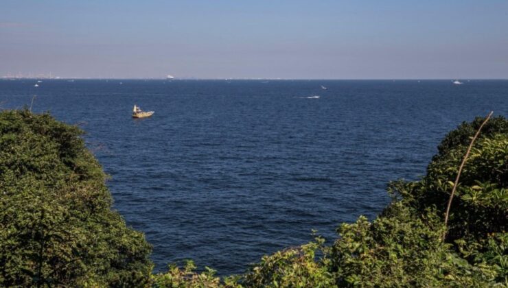 Japonya’da Simitle Yüzmeye Giden Kadın, Kıyıdan 80 Km Açıkta Kurtarıldı