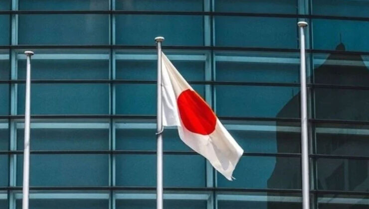 Japonya’da ‘Zorla Kısırlaştırma’ Kararı: Hükümet Tazminat Ödeyecek