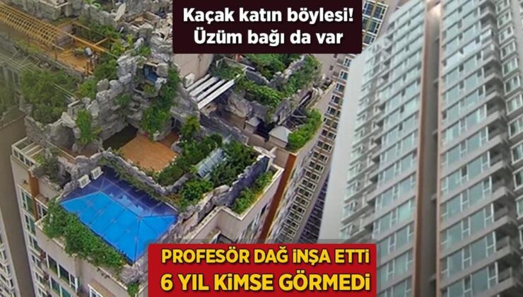 Kaçak Katın Böylesi! Profesör ‘Dağ’ İnşa Etti, 6 Yıl Kimse Görmedi: Üzüm Bağı da Var