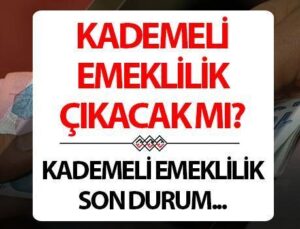 Kademeli Emeklilik Ne Zaman Çıkacak? 15 Temmuz 2024 Kademeli Emeklilik Son Durum Bilgileri