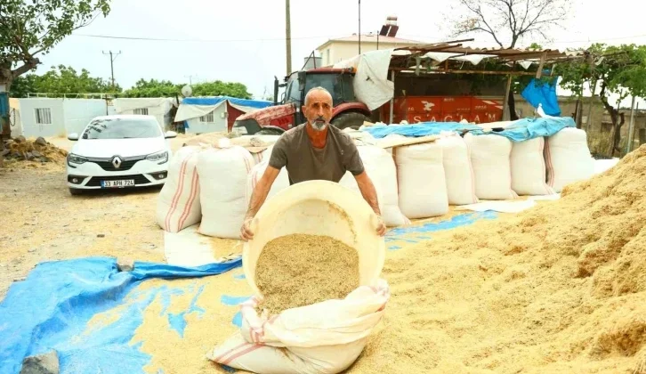 Kahramanmaraş’ta Besicilerin Saman Telaşı