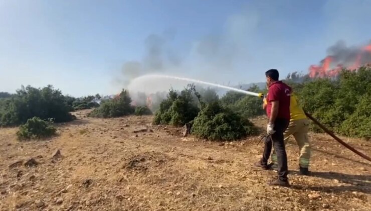 Kahramanmaraş’ta Orman Yangını Kontrol Altına Alındı