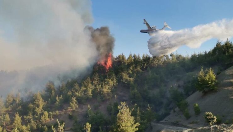 Kahramanmaraş’ta Orman Yangınına Müdahale Ediliyor