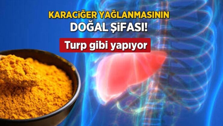 Karaciğeri Bağlayan Öbek Öbek Yağa Karşı Altın Süt! Bir Tutamı Turp Gibi Yapıyor