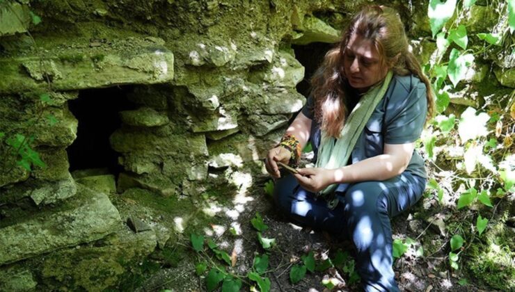 Kastamonu’da 2 Bin 300 Yıl Öncesine Ait Seramik Parçaları Bulundu