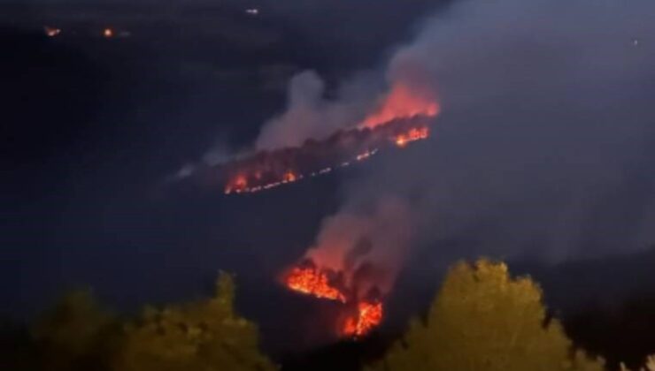 Kastamonu’da İki Farklı Noktada Orman Yangını