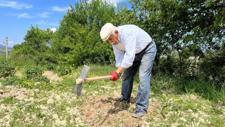 Kastamonulu 80 Yaşındaki Dede Çalışmadan Duramıyor