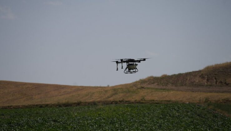 Kırıkkale’de İlaçlamayı Dronla Yapan Çiftçinin Su Tasarrufu