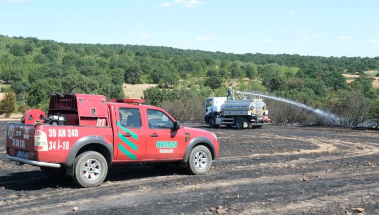 Kırklareli’nde Anız Yangınları: 80 Dekar Alan Zarar Gördü