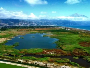 Kışın Yağan Yağmurlarla Dolan Kuş Cenneti Kavurucu Sıcaklara Göçmen Kuşlara Ev Sahipliği Yapıyor