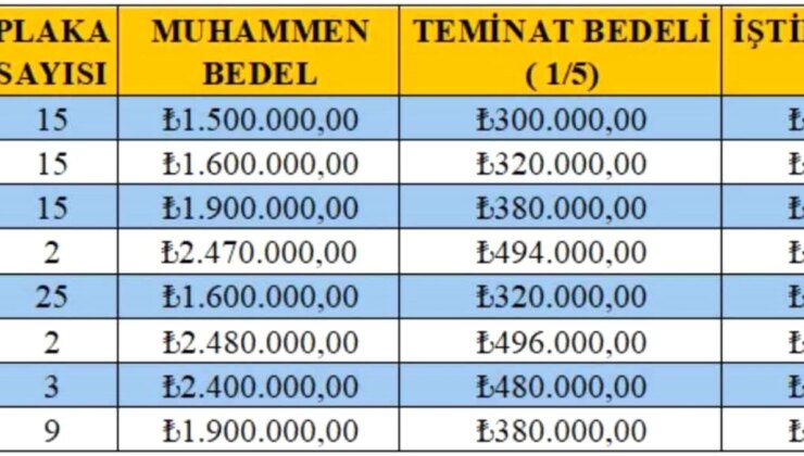 Kocaeli Büyükşehir Belediyesi 86 Yeni Taksi Plakası Verecek