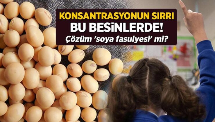 Konsantrasyonun Sırrı Bu Besinlerde! Çözüm ‘Soya Fasulyesi’ Mi?