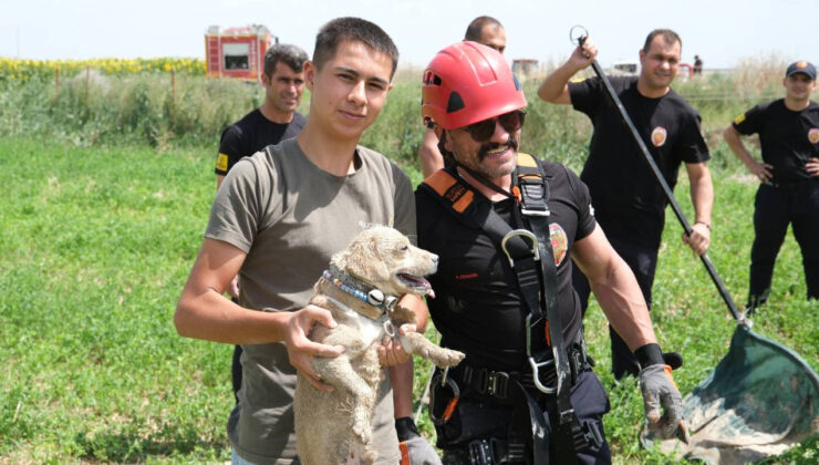 Konya’da Kuşları Kovalarken Obruğa Düşen Köpek Kurtarıldı