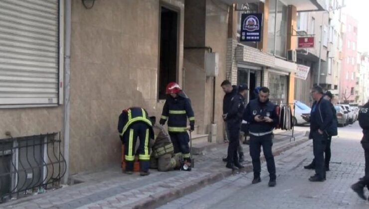 Kötü Kokunun Sebebi Belli Oldu! Mahalleli Gördüğüne İnanamadı