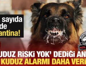 Kuduz Riski Yok Dediği Anda Bir Kuduz Alarmı Daha Verildi! Birçok Köy Karantinaya Alındı