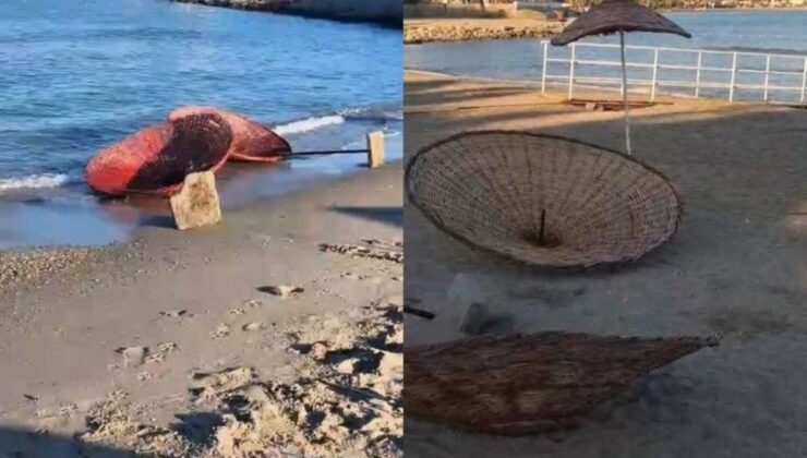 Kuşadası’nda Vandalların Son Hedefi Plajlar Oldu