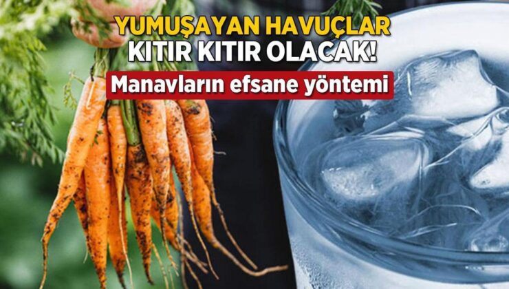 Manavların Uyguladığı Bâtın Formül! Yumuşayan Havuçlar Kıtır Kıtır Olacak