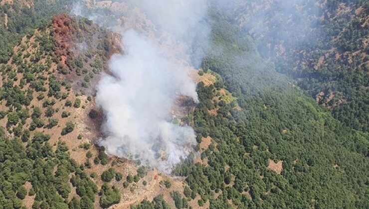 Manisa Kırkağaç’ta Orman Yangını Çıktı