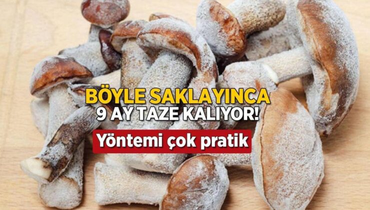 Mantarı Böyle Saklayın, 9 Ay Taze Taze Yiyin! Yöntemi Çok Pratik, Tadı Değişmiyor