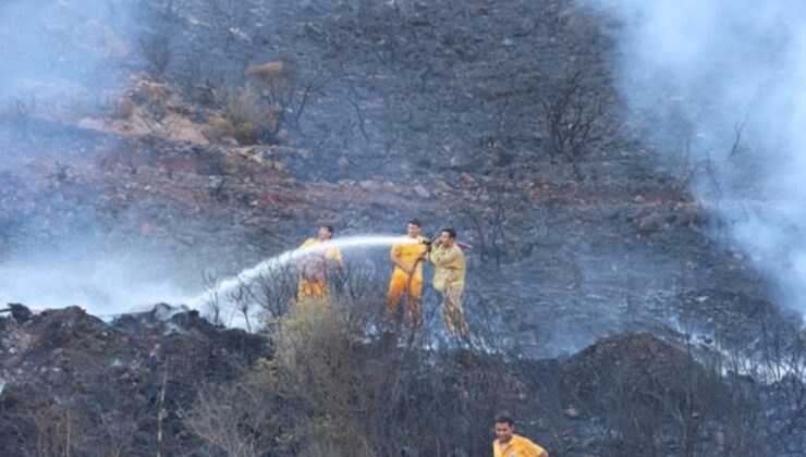 Marmaris’teki Yangında Gözaltına Alınan 3 Kişi Serbest