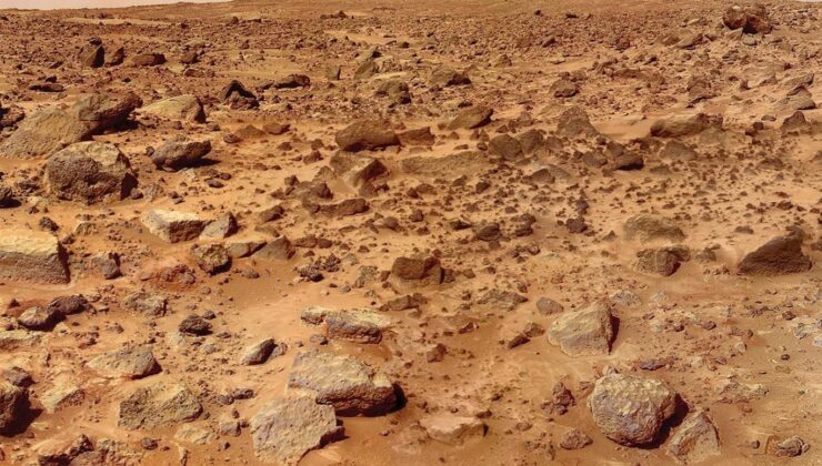 Mars’ta Hayatta Kalabiliyor! İnsan Yaşamını Başlatabilir