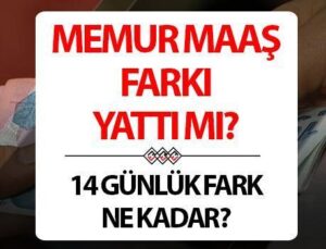 Memur Maaş Farkları Ne Zaman, Ayın Kaçında Yatacak? 14 Günlük Maaş Farkı Hangi Tarihte Yatıyor?