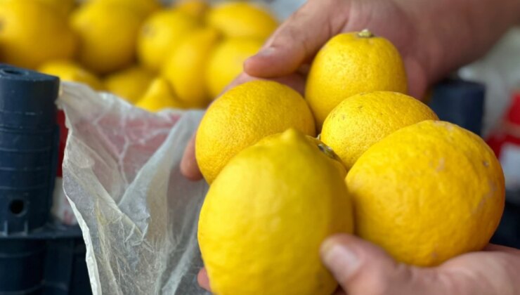 Meteorolojik Olaylar Yerli Domates ve Limon Fiyatlarını Etkiledi