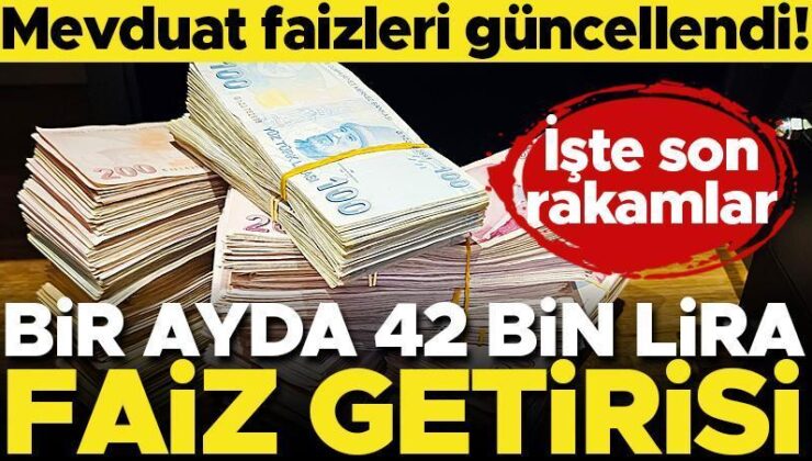 Mevduat Faizleri Güncellendi! İşte Son Sayılar… 1 Ayda 42 Bin Lira Net Faiz Getirisi