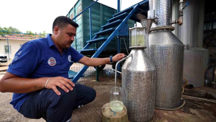 Muğla Büyükşehir Belediyesi Tıbbi Aromatik Bitkiler ve Yerel Tohum Merkezi ile Üreticiye Destek Veriyor