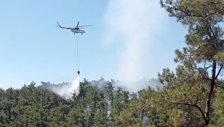 Muğla’da Orman Yangını